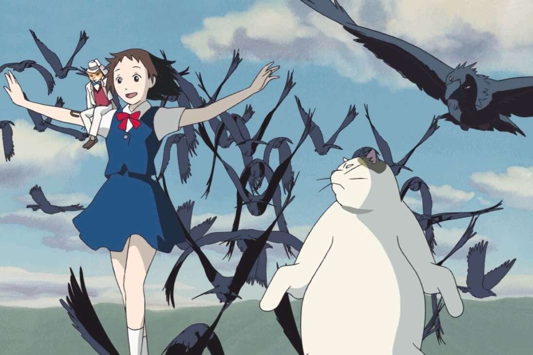 cat returns 1512x820