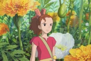 image asset 1920x1039