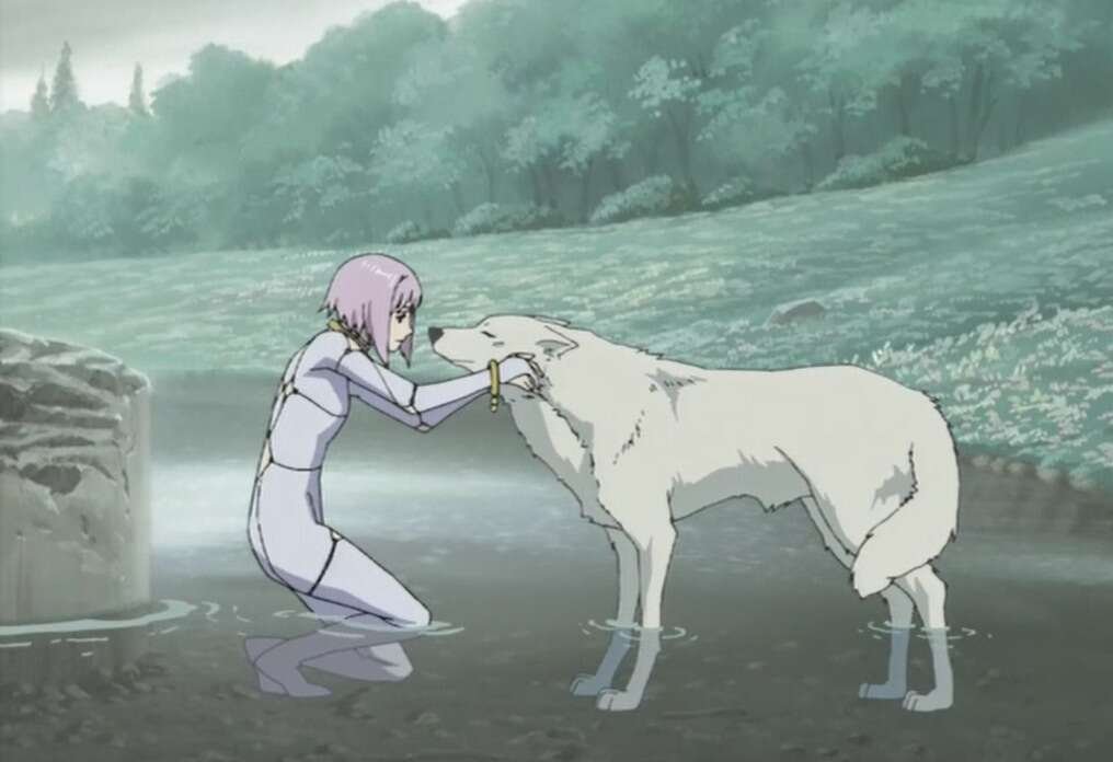 wolfs rain anime series 1016x696 wolf rain anime series dystopic