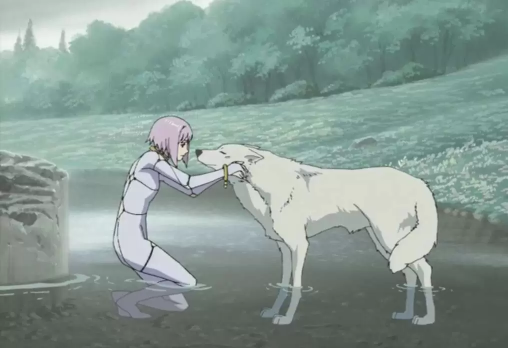 wolfs rain anime series 1016x696 wolf rain anime series dystopic