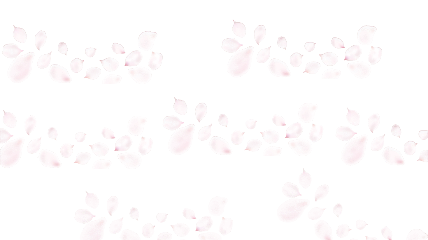 Sakura Leaves