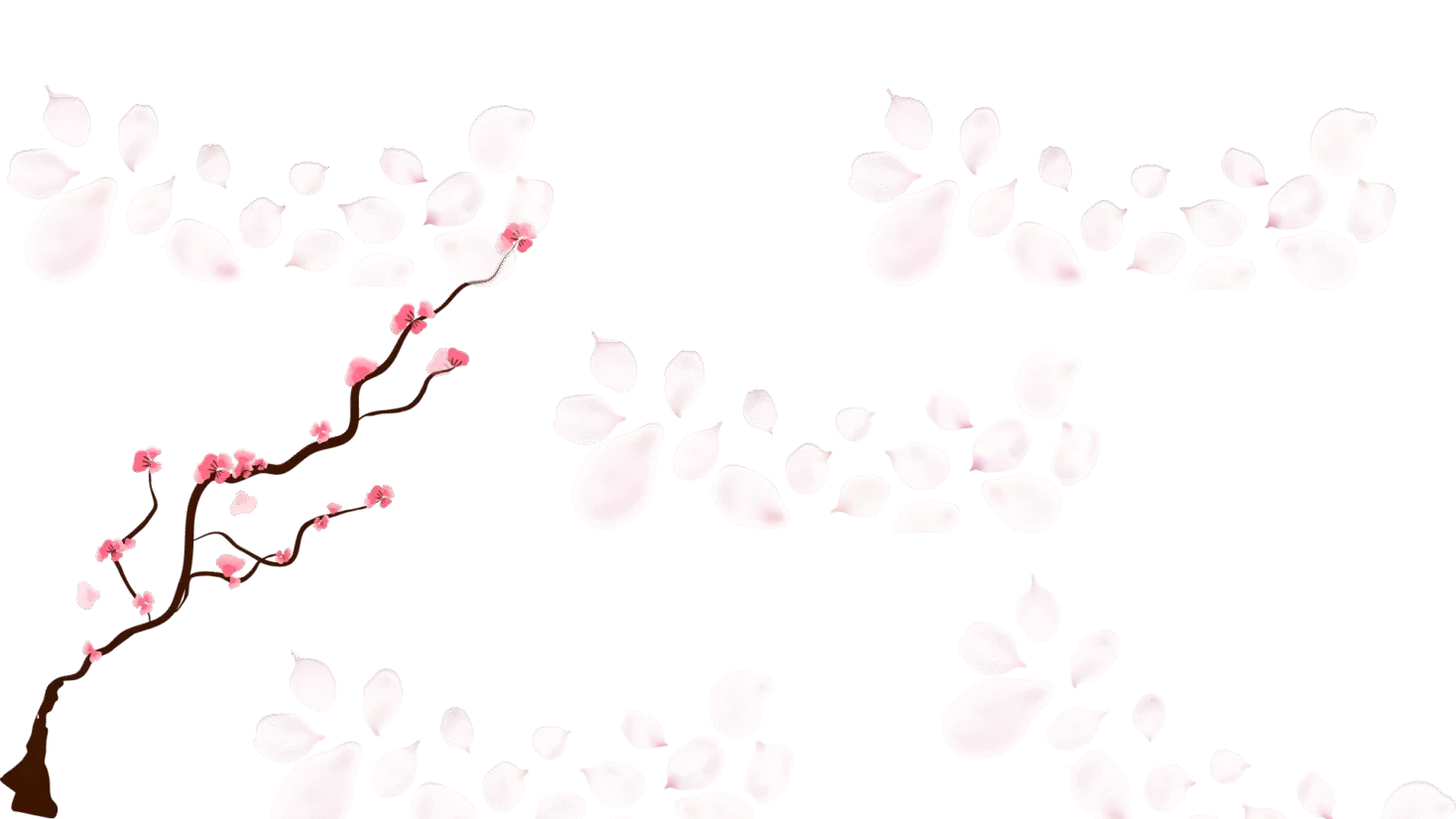 Sakura Background