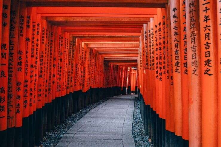 fushima 740x493 fushima 740x493