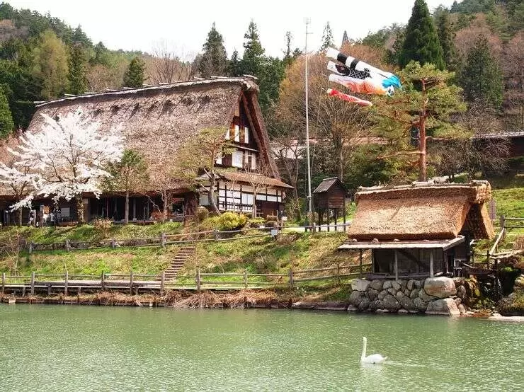 hida japan 740x554