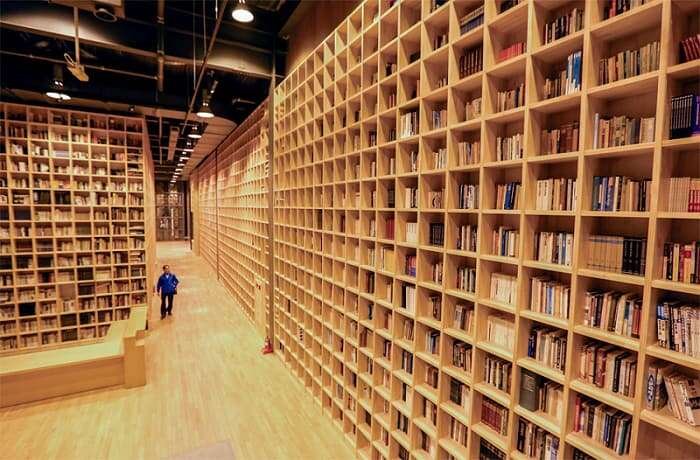 forest of wisdom 6a5b383b7d6fa29619ceea2b9cfae8c7 d5669802a2245bdac847db1cc6e39f56 1 700x460 book city korea