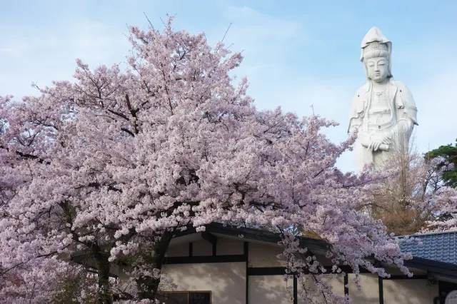 Takasaki and Numata in Gunma Prefecture